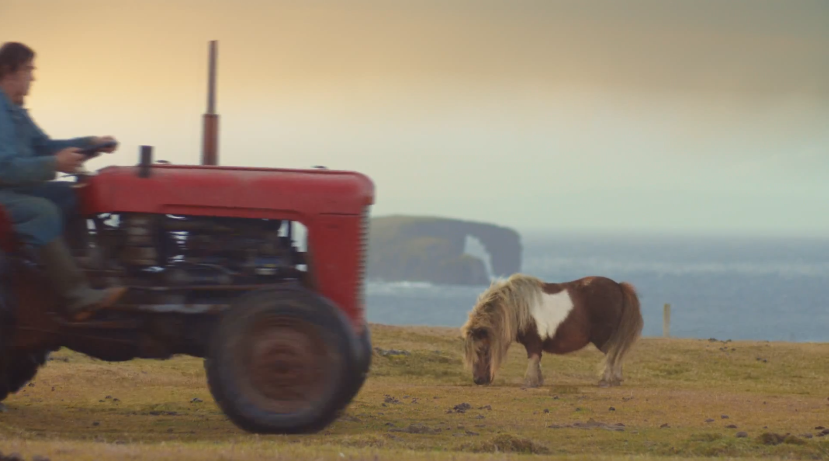 Michael Jackson, VideoExtra, Shetlandsponny, Video